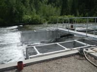 Fish Weir