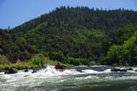 Almeda Rapid