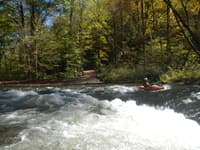 Surf Rapid