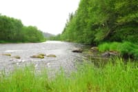 Ohop Creek Confluence