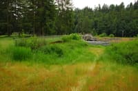 Centralia Dam Portage Route