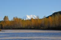 Mt. Rainier View from Nisqually River