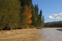 Nisqually River