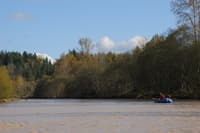 Nisqually River