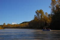 Mt. Rainier View from Nisqually River