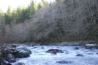Calawah River Trip