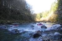 Calawah River Trip