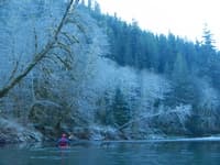 Calawah River Trip