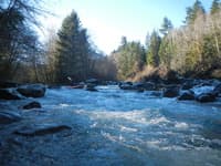 Island Rapid