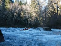 Calawah Rapids