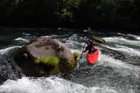 Rapids on the NF Rogue