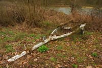 Portage Trailer