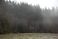Scenery on the Nisqually
