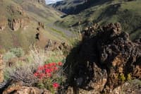 Hiking Above Soldier Creek