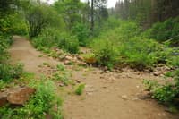 Moore Creek Access