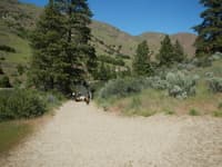 Beehive Bend Access trail
