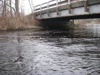 Put in bridge