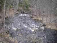 Left fork to dells