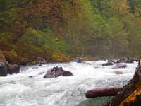 Mid run unnamed rapid