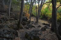 Pit River Put-in Access Trail