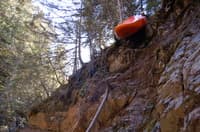 Roping out of Callahan due to wood (2007)