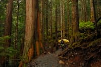 Sultan River Gorge Trail