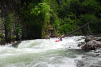 Running the Confluence Rapid