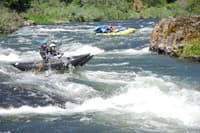 Shredder Action in Tyee