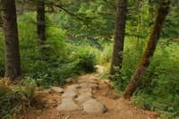 Moore Creek Kayaker Trail
