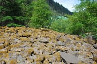 Carter Bridge Rip Rap
