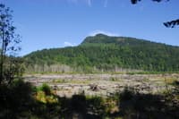 Elwha Resort Access