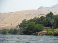Dant Ferry