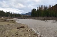 Sullivan Creek post removal