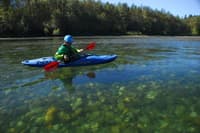 Skagit Salmon Viewing