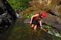 Kelsey Creek
