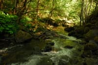 Kelsey Creek