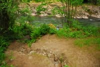 Sandy River Revenue Bridge