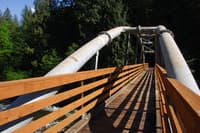 Marmot Dam site bridge