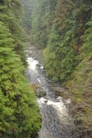 View from the Bridge