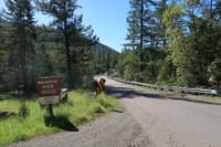 North Fork Smith put-in