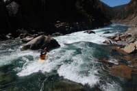 Scout Rapid