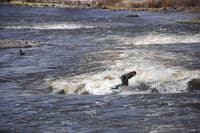 Bend Whitewater Park