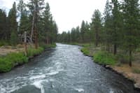 View from Burgess Road Bridge