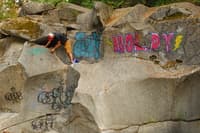 Eagle Falls Cleanup