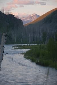 Evening Light