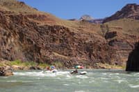 Shinumo Rapid
