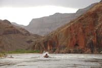 Kolb Rapid