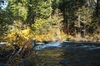 Metolius River wood hazard