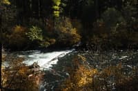 Metolius River wood hazard