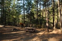Monty Campground